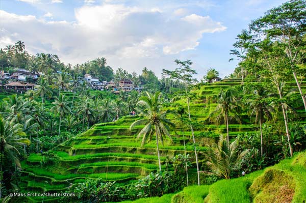 Ubud Dipersiapkan Jadi Destinasi Wisata Gastronomi Standar