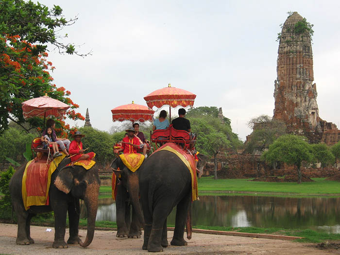 Penggunaan gajah untuk pariwisata mendapatkan kecaman