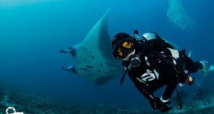 Indonesian Women in Diving